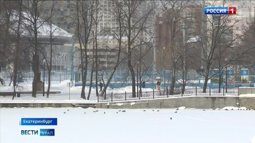 Погода в этом году нас удивляла много раз