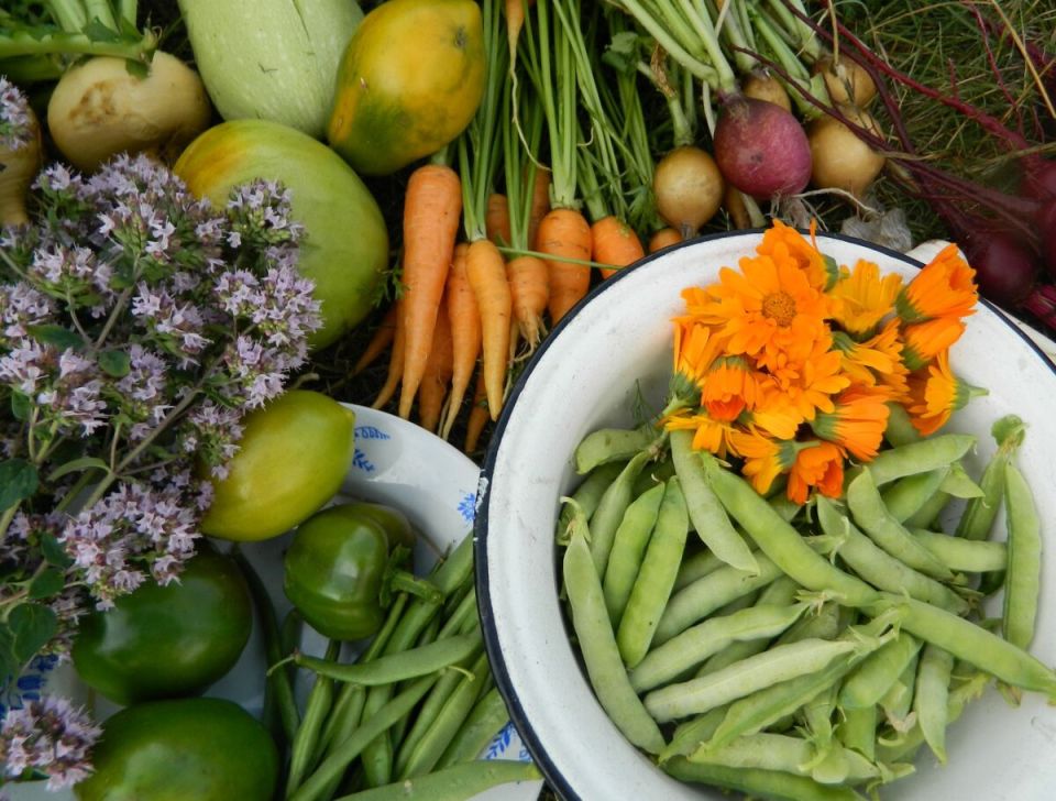 ���� ��� ������������: ��� ��������� ������� ������ �� ��������� �������