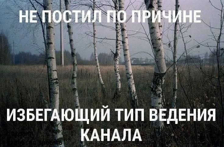 Международный день интроверта отмечается сегодня!