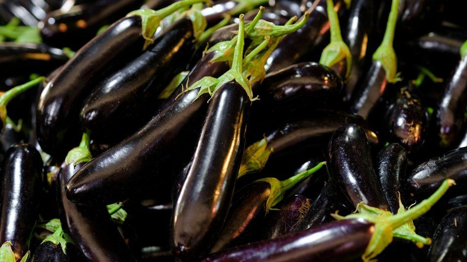 ���������: ���� � ������ � ������ �������