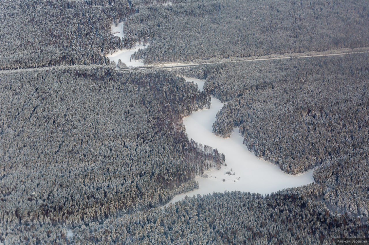 Денис Паслер: площадь восстановленных лесов в 2025 году составила 33,2 тысячи гектаров