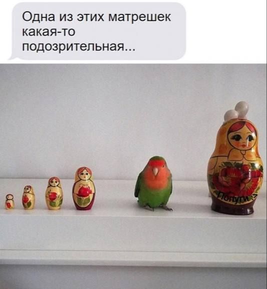 ������� ���������� ���� ������� �������!