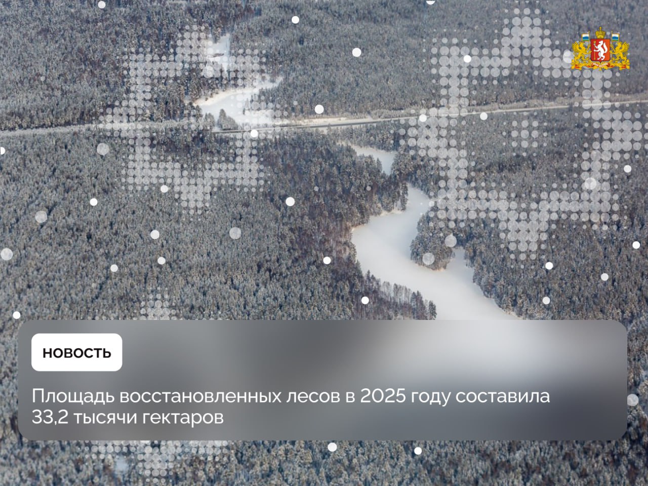 Площадь восстановленных лесов в 2025 году составила 33,2 тысячи гектаров