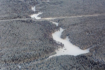План по восстановлению лесов региона перевыполнен на тысячу гектаров