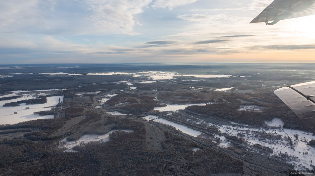 Денис Паслер: площадь восстановленных лесов в 2025 году составила 33,2 тысячи гектаров Денис Паслер: площадь восстановленных лесов в 2025 году составила 33,2 тысячи гектаров