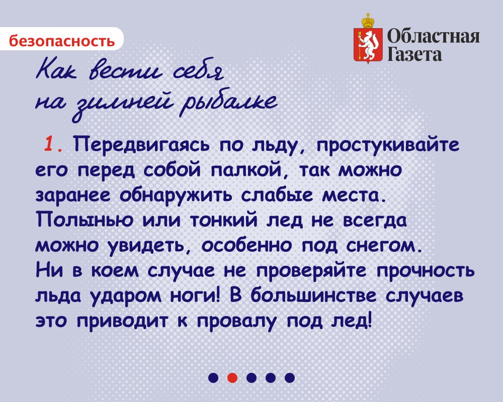 Новогодние каникулы — отличный повод выбраться на природу и заняться любимым делом! Новогодние каникулы — отличный повод выбраться на природу и заняться любимым делом!