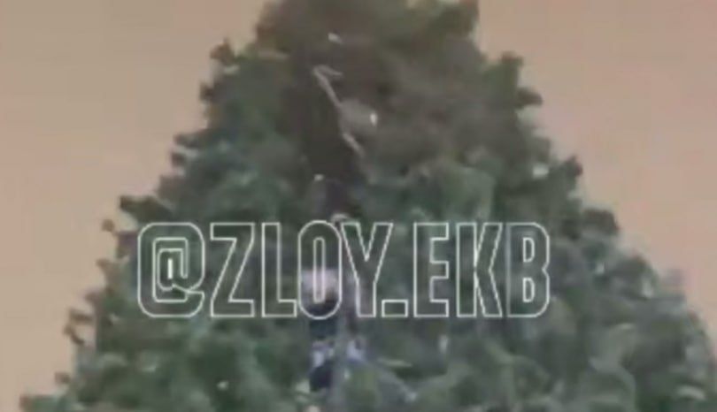 ���� �������� ������� ������� ���� ������������� � ��������