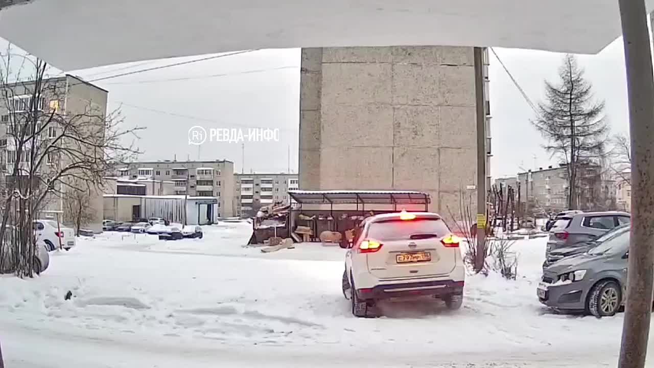 Табуретку на хрюшку в Ревде надел человек