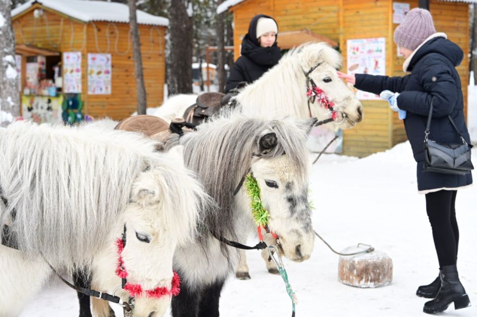 ������������ ���������� ������� ��������� ���������� ��������