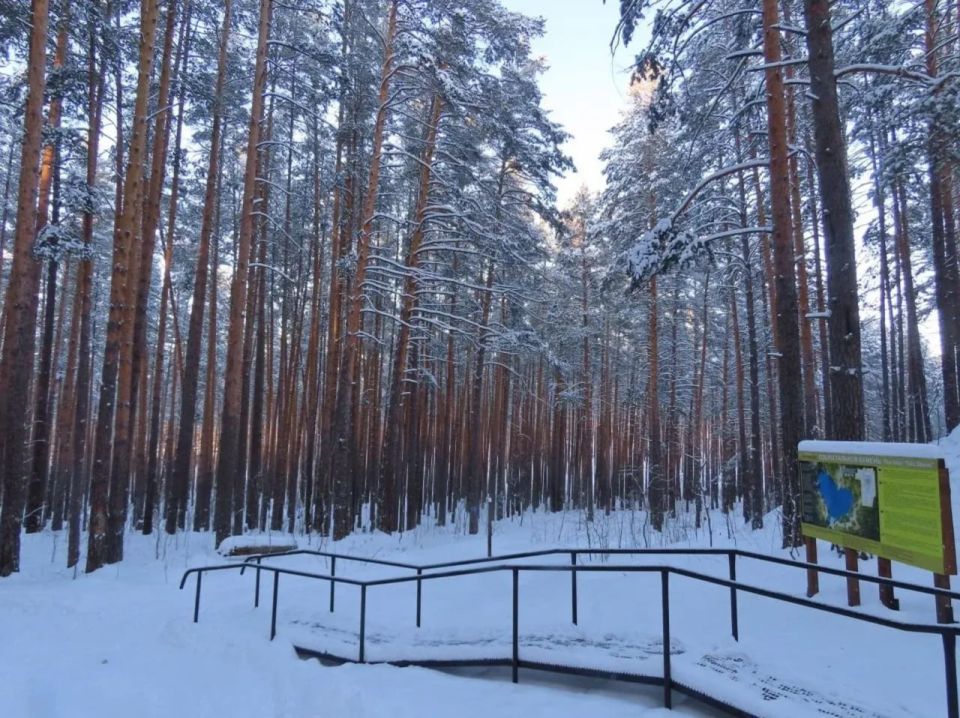 ���� ������ �� ������. � ������������ ��������� �������� � �������� ������������ ������� ���������, ��� ���������� ��������� ����� � ��������� ����� ������� ��� ��������� ��������� ��� ���������� ���������