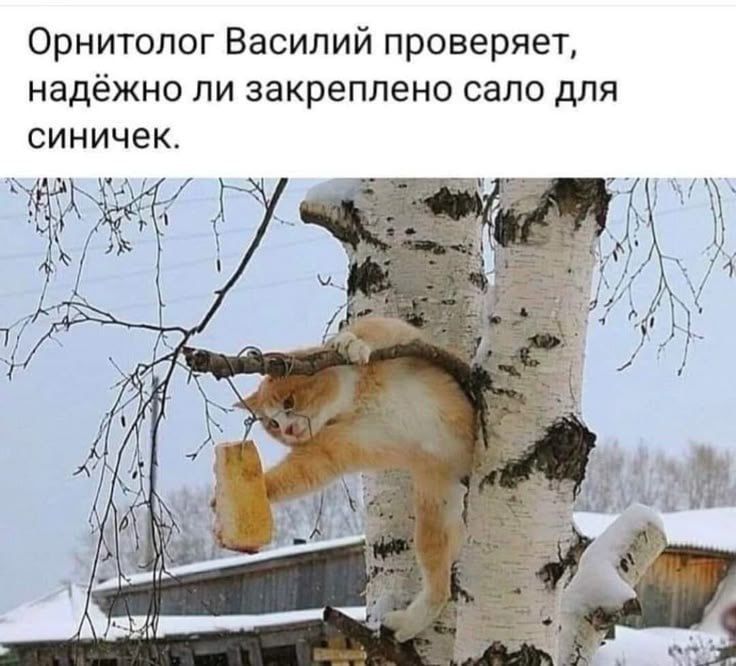 ��� ��������� ������������� ����?