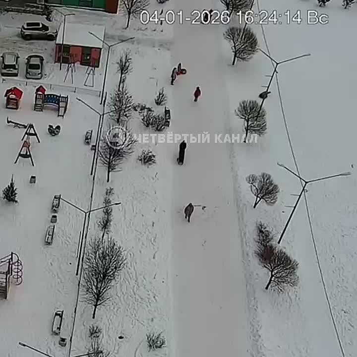 ���� �� ���������� ������: ������ �������������, ��� ��������� �� ������� ���� �����������