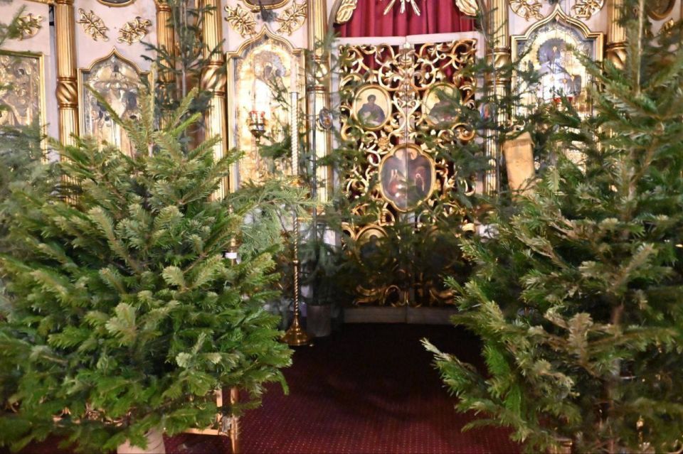 ������ 300 ���������� � �������������� �������� ���������� � �������� ����������� ��������� �������� � ����� �������������