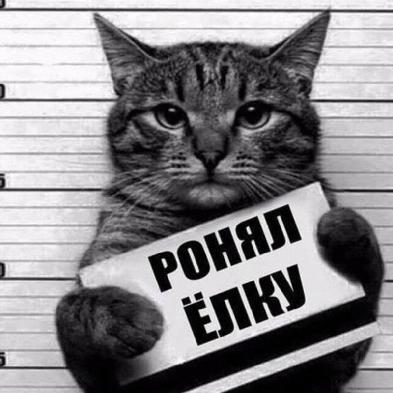 �� ����� ��� 6 ������, �� ��� �� ������, ��� ��������� ����� �������� �� ���� ������������