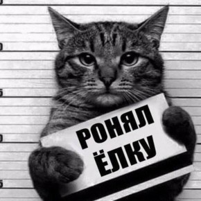 �� ����� ��� 6 ������, �� ��� �� ������, ��� ��������� ����� �������� �� ���� ������������