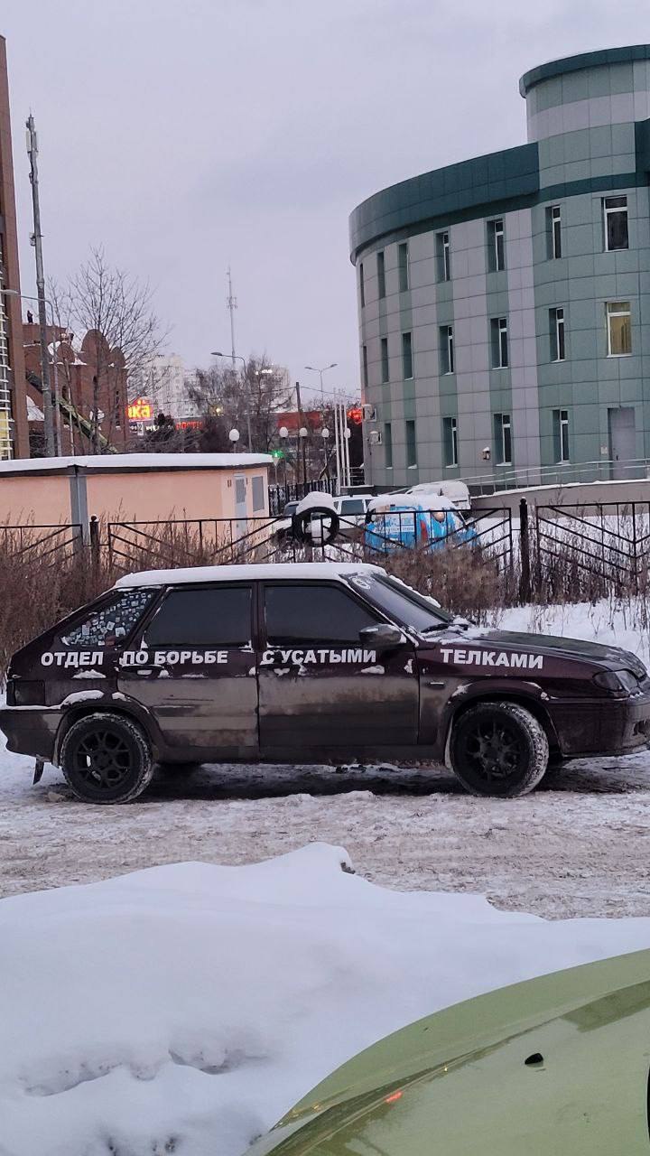 Отдел по борьбе с усатыми телками возмутил горожан