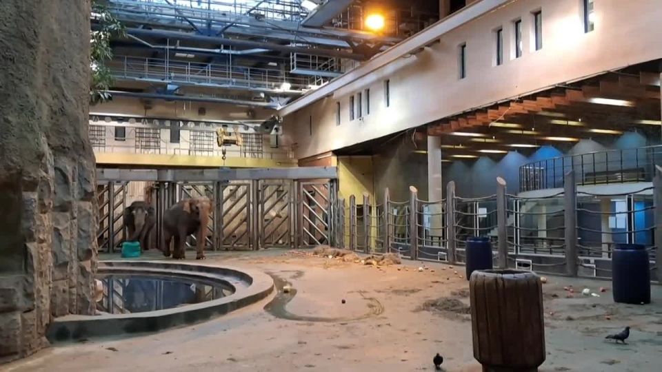 ������� �������� ��� � ����������� �����: �������� ������ � ����� � ���������� �������� � ������ ������ ��������� ����� �� ������ � �������� ������