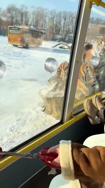 ����� ��������� ����� �� ���� ���������� ���������: ����� � ��������� �������� ��� �� ����� �������� �� ���