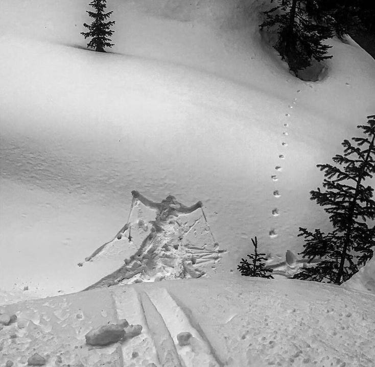 День распутывания лыжных следов празднуется сегодня!