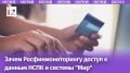 Росфинмониторинг получает новые инструменты для борьбы с отмыванием денег в 2026 году