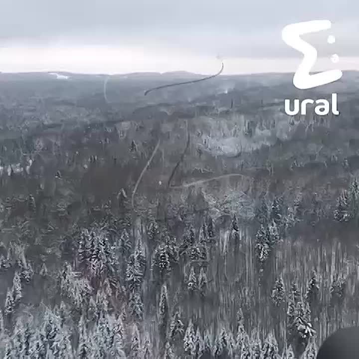 �������� "������������" ����� ������� �������� � 2019 ����