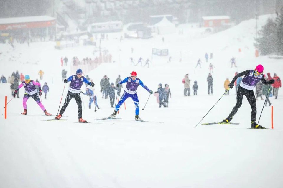 ������� �����: �� ������ ��������� ����� ��������� ������ ����������� ���� �� ����