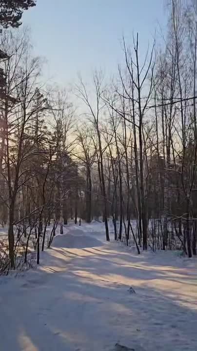 ���������������� � �������� ������������ ������� ���������� � ������������ � ���������� ��������