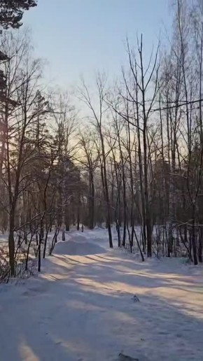 Госавтоинспекция и Минздрав Свердловской области напоминают о безопасности в новогодние каникулы