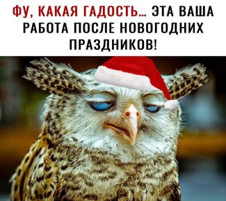 Сомнолог рассказал, как вернуть режим после новогодних праздников