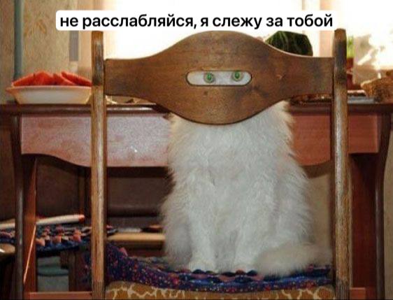 Ответственность за сталкинг предлагают ввести в Госдуме