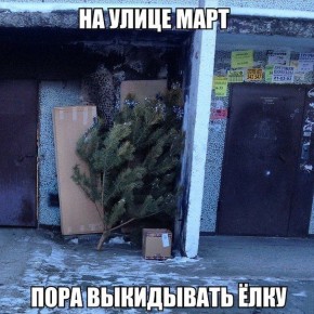 ������������� ������ ����� �� ������������ ���������� ���������� ����