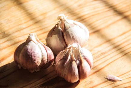 ��� ��������� ������ �� �������, ����� ������������� �����: �� ������� �� �����������