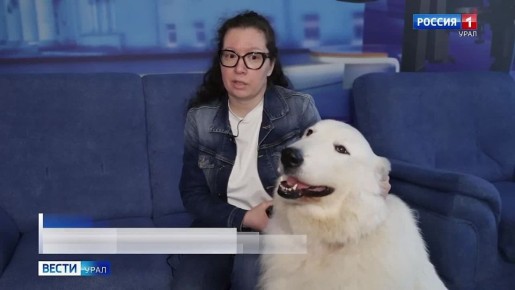 ������ ���������� - ������� ������������ ��� ������ ������, ������� ������ ����� ������� ������������