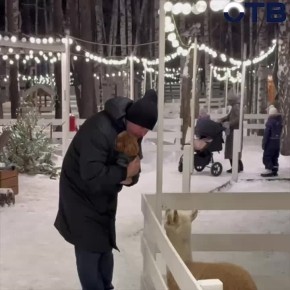 � ������������� � ���������� �������� ����� ������� ������ �������� �������