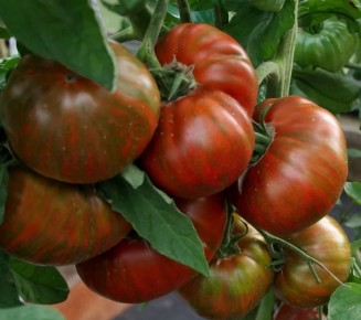 ������� ��������� �������: ��� ��������� 15 �� � ����������� �����