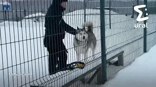 Ural Mash ���� �������� ����� � ������ ��� ��������� � ������� ����� ������ � ����