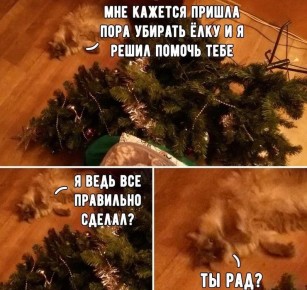 ��� ��������� ������������� ����