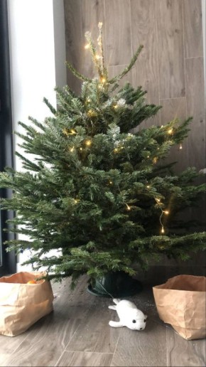 ����� 13 ����� ���������� �������� ���������� ������ ������������ ������� ��� ��������� �����