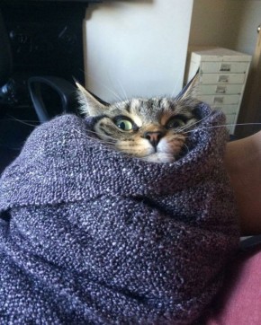 � ��������� ���� ����� � ������������ ������� ���������� ��������� �������� ������