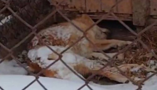 ��������� ���������� ����� �������� � ������ �������������� � �����