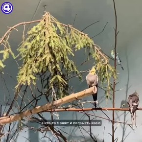 ������������ ��� ������ � ��������: � �������� ����� ������ ����� ���������� �����