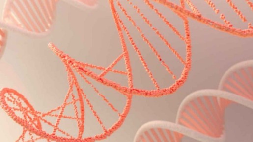 ������������ ����� ��� ����������� ������������ ������ �����������