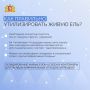 Свердловчане оформили в территориальных лесничествах покупку почти 13 тысяч елей и сосен, чтобы украсить свои дома к Новому году