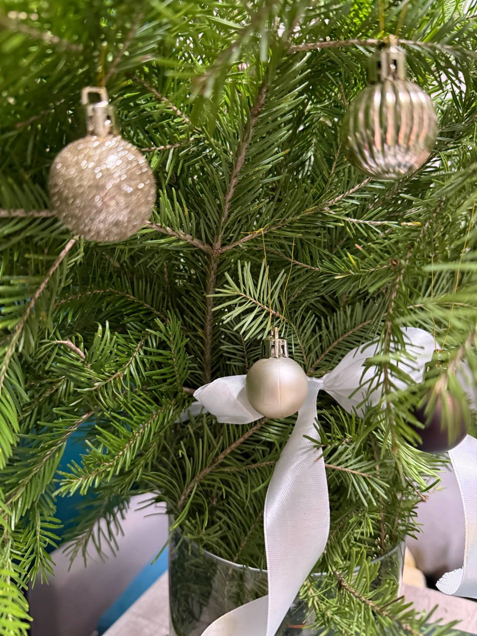 Почти 13 тысяч новогодних деревьев заготовили жители Свердловской области для украшения домов Почти 13 тысяч новогодних деревьев заготовили жители Свердловской области для украшения домов