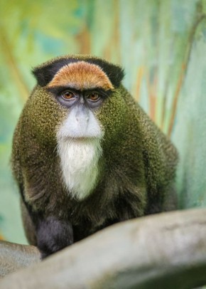 � ���������������� ������� �������� ���� ����� ���������� � �������� ������ �� ����� �������� � �����