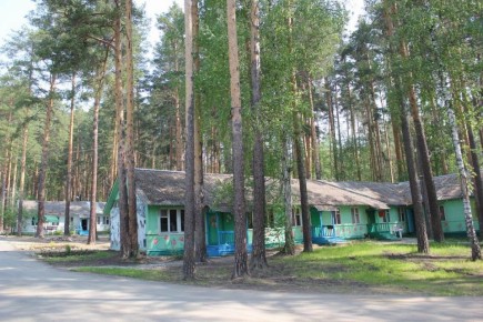 Детский лагерь «Красная гвоздика» получит новую котельную