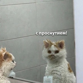 ������ ����� ���������� ����� ������ ���������, ��������� � ����������