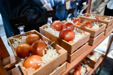 ����� ����������� ������ ���������� ���������-����������� � ������� ������, ������ ������������� ����������� ��� ����� � ���������� ���������� ������������ �������� ���������� ���������� ����� � 2025 ����