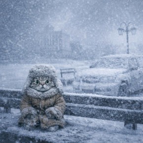 ��������� �������������: �� 17 ������ � ������������ ������� ��������� ��������� �������� ������ (�������������� ����������� ������� ���� ������������� ����� �� 7 �������� � �����)