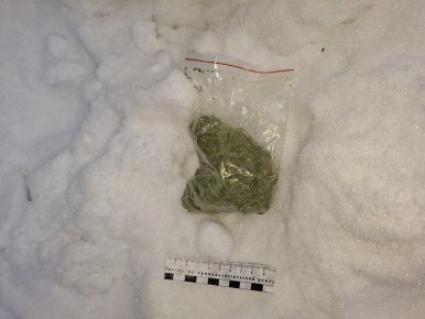 Нижнетагильские транспортные полицейские задержали вахтовика, подозреваемого в незаконном обороте наркотиков